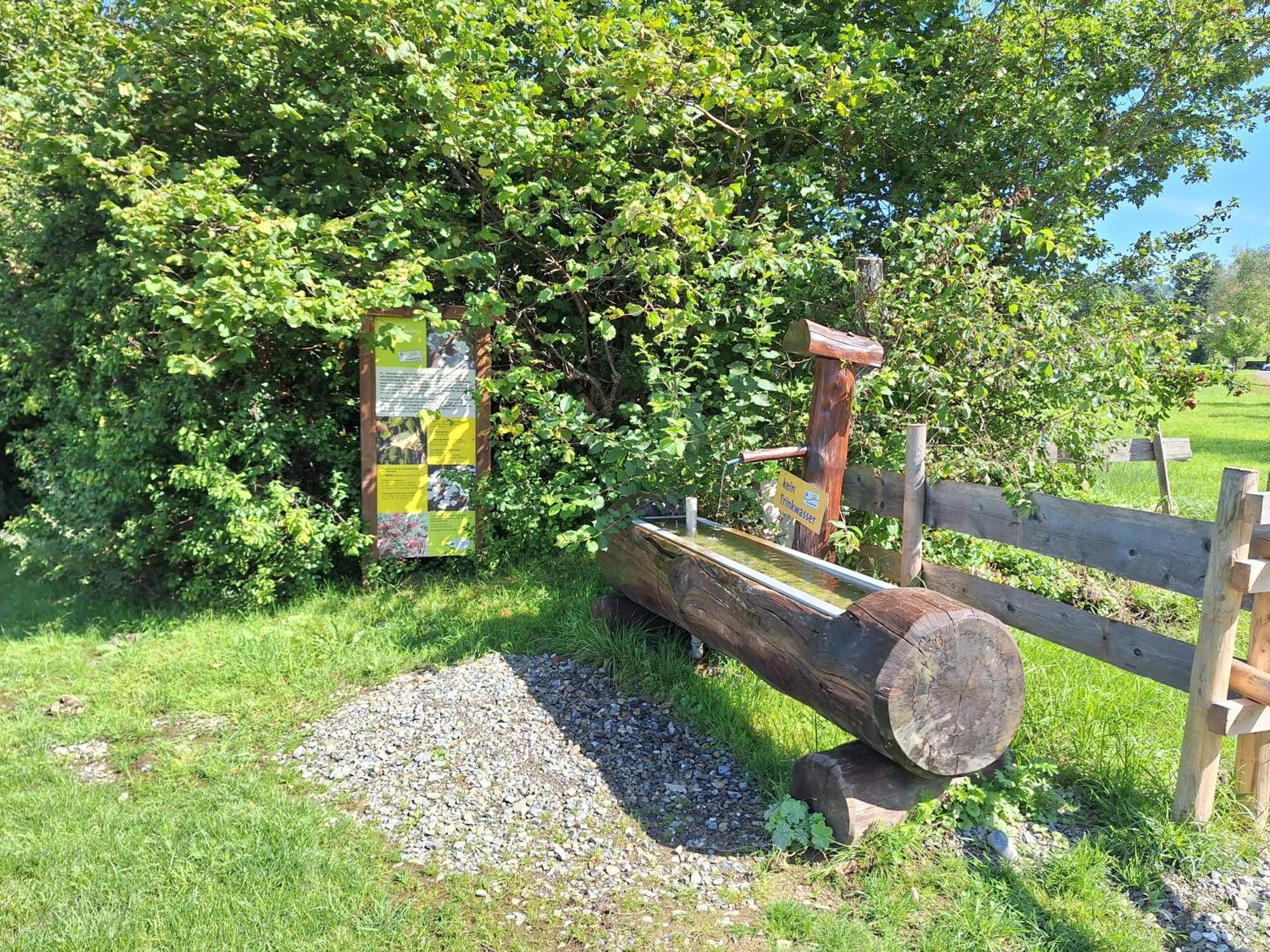 Fewo Allgaeuerle1605 Mit Hallenbad, Sauna, Tiefgarage Und Wlan 미센 윌햄스 외부 사진